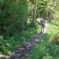 Entlang der Warmen Sense – Auf dem Rücken des Schwyberg Trailrun