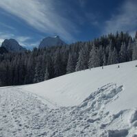 Stierenberg - Winterwanderung Selibüel
