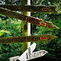 "Historischer" Wegweiser an der Landgrafenbuche
