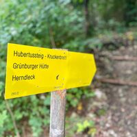 Kruckenbrettl - Trail