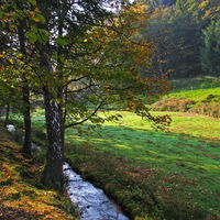 Im Holzbachtal