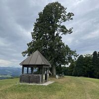 Aussichtspavillon