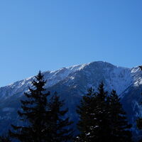 Sonnleiten - Mamauwiese - Puchberg
