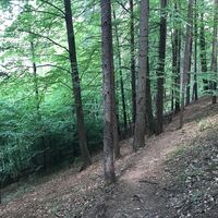 Papst-Franziskus Pilgerweg, Oststeiermark