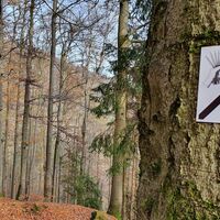 Naturpark-Weg Griffelpfad