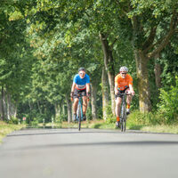 Mit dem Rennrad unterwegs durch den Wald bei Breddorf
