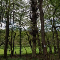 Landschaft