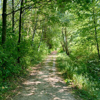 Kaiserbründlweg, Zistersdorf