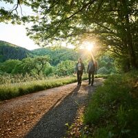 Taubertal_Reicholzheim