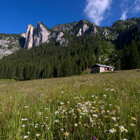 Val San Nicolò ©Archivio APT Val di Fassa