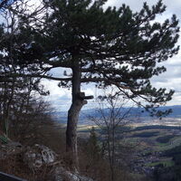 beim Neunkirchner Naturfreundehaus
