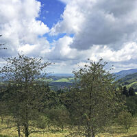 Aussicht auf die Schwäbische Alb