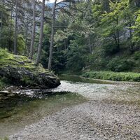 Blick vom Badeplatz flussabwärts