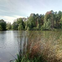 Teich vor Schönau