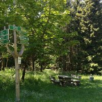 Von Rodacherbrunn zum Titschendorfer Floßteich