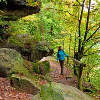 Wanderin beim Krappenfelsen auf dem Rodalber Felsenwanderweg