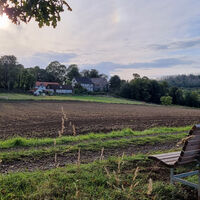 Blick zum Hofgut Sauerburg