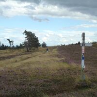 Wanderpfosten auf dem Rundweg