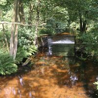 Allerbach bei Wichtenbeck