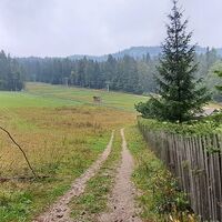 Abstieg zum Parkplatz bzw. Mendelstube