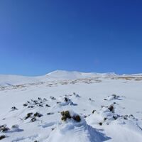 Puchberg - Schneebergdörfl - Mieseltal - Waxriegel