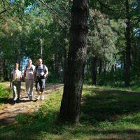 Wanderung Düne du Royon