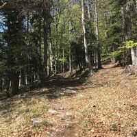 Aufstieg auf den Gösser, Oststeiermark