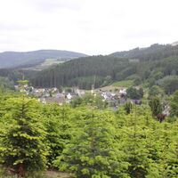 Weihnachtsbaumplantagen entlang Ihrer Wanderung