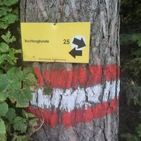 Wegweiser- Markierungen Buchkogelrunde, Stubenberg am See, Oststeiermark
