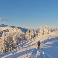 Blick zurück - im Hintergrund der Lugauer