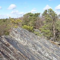 auf der Buschandlwand