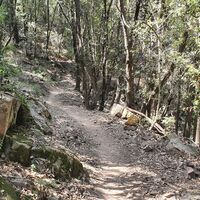 Napoleon-Trail