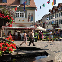 Wochenmarkt am Samstag