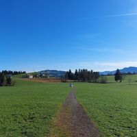 Moos Alberschwende