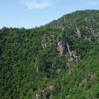 Ruine Dürnstein blick zum Vogelbergsteig