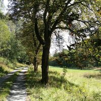 Von Saaldorf zum Marienstein