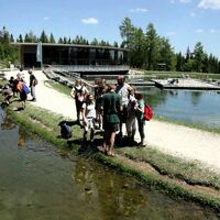 Mariazeller Bürgeralpe - Ausflugsberg und Erlebniswelt
