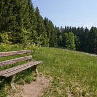 Wue4 17052020 25 Wolfram Linnebach