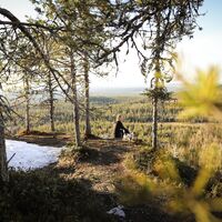 Konttainen Gipfel entlang des Karhunkierros Wegs in Ruka, Kuusamo