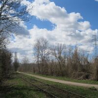 Nationalpark Donauauen