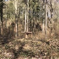 Poppenwald