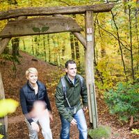 Herbstlich am Felsenpfad