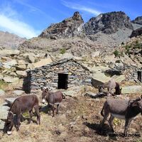 Ruinen Alpe Sasso Nero