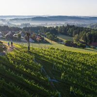 Radfahren im Schilcherland