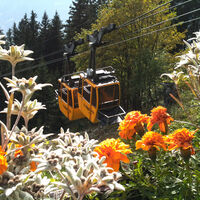 Bahn
