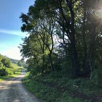 Klosterneuburger Genussradtour