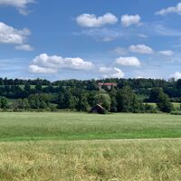 Blick auf Klosterwald