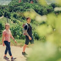 Württembergischer Weinwanderweg bei Beilstein | HeilbronnerLand