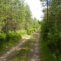 Tolpankankaan Naturpfad