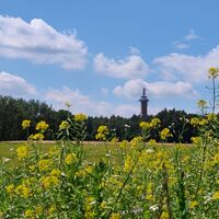 Blick auf den Aussichtsturm bei Räber